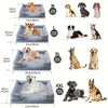 Orthopedic Memory Foam Dog Bed